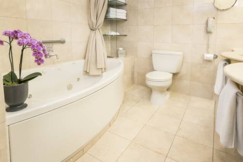 Imagen de la habitación del Hotel Ch&acirc;teau Vaudreuil. Foto 8