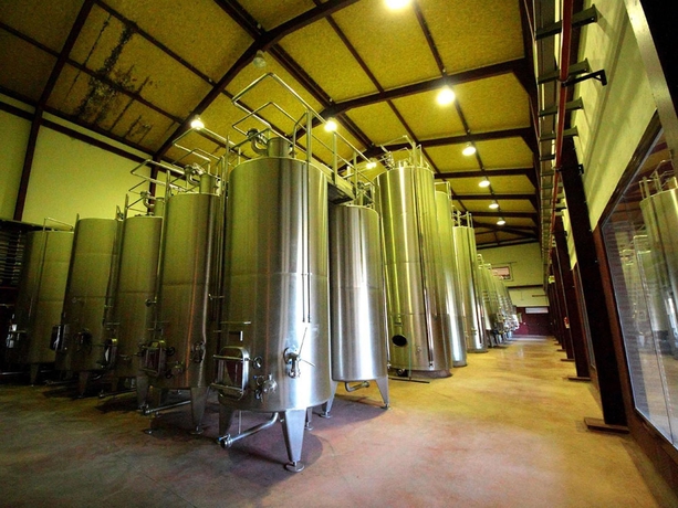 Imagen de los interiores del Hotel Château Viñasoro. Foto 15