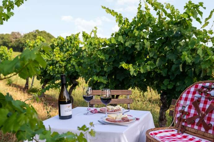 Imagen general del Hotel Ch&acirc;teau de Tauzi&egrave;s, The Originals Relais. Foto 2