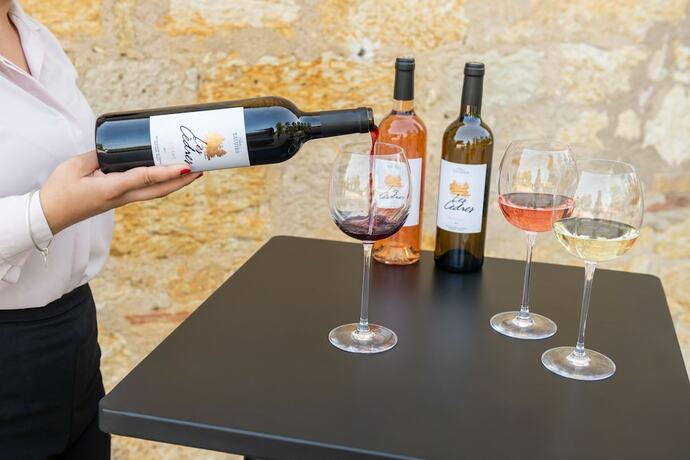 Imagen general del Hotel Ch&acirc;teau de Tauzi&egrave;s, The Originals Relais. Foto 4