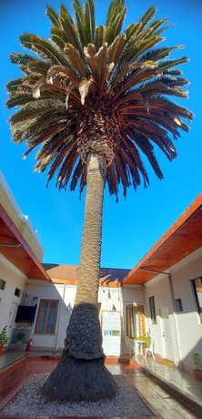 Imagen de los interiores del Hotel Chagual. Foto 18