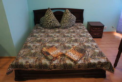 Imagen general del Hotel Chaika. Foto 4