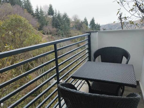 Imagen de la habitación del Hotel Chakrata Inn Resort. Foto 23