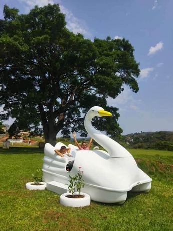 Imagen general del Hotel Chal&eacute;s Parque Aqu&aacute;tico. Foto 15