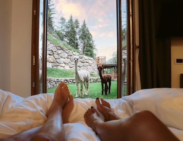 Imagen de la habitación del Hotel Chalet Al Foss. Foto 11