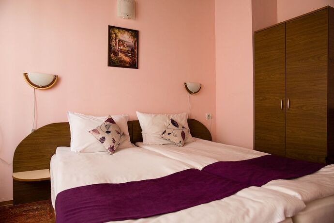 Imagen de la habitación del Hotel Chalet Asevi Bansko. Foto 19