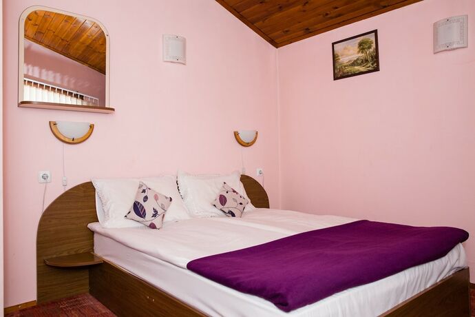Imagen general del Hotel Chalet Asevi Bansko. Foto 9