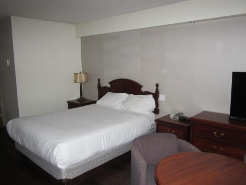 Imagen de la habitación del Hotel Chalet Continental Motel. Foto 6