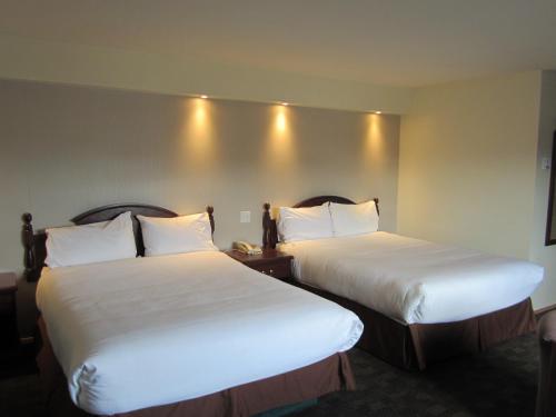 Imagen de la habitación del Hotel Chalet Continental Motel. Foto 8