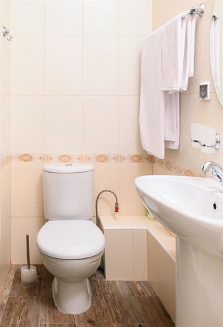 Imagen de la habitación del Hotel Chalet De Provence Kolomenskaya. Foto 8