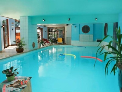 Imagen de la piscina del Hotel Chalet Du Bois. Foto 6