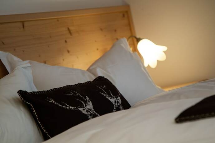 Imagen de la habitación del Hotel Chalet Giasenei. Foto 15