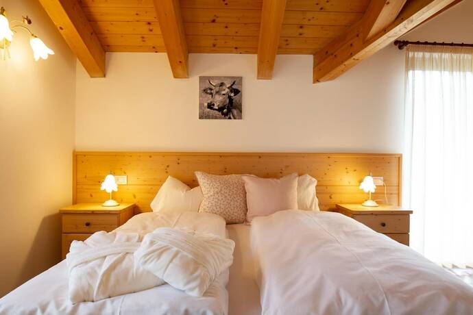 Imagen general del Hotel Chalet Giasenei. Foto 7