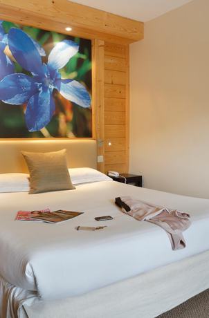 Imagen de la habitación del Hotel Chalet H&ocirc;tel Vacca Park. Foto 3