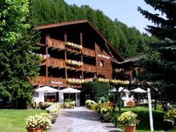 Imagen de la habitación del Hotel Chalet Hotel Senger. Foto 44