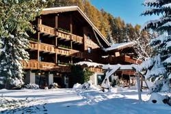 Imagen general del Hotel Chalet Hotel Senger. Foto 25