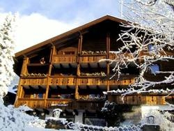 Imagen general del Hotel Chalet Hotel Senger. Foto 26