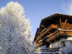 Imagen general del Hotel Chalet Hotel Senger. Foto 27