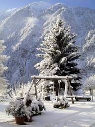 Imagen general del Hotel Chalet Hotel Senger. Foto 28