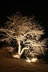 Imagen general del Hotel Chalet Hotel Senger. Foto 29