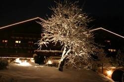 Imagen de la habitación del Hotel Chalet Hotel Senger. Foto 48