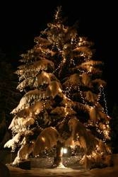 Imagen general del Hotel Chalet Hotel Senger. Foto 31