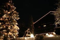 Imagen general del Hotel Chalet Hotel Senger. Foto 32