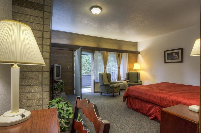 Imagen de la habitación del Hotel Chalet Inn, Gatlinburg. Foto 5