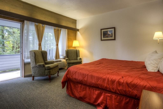 Imagen de la habitación del Hotel Chalet Inn, Gatlinburg. Foto 6