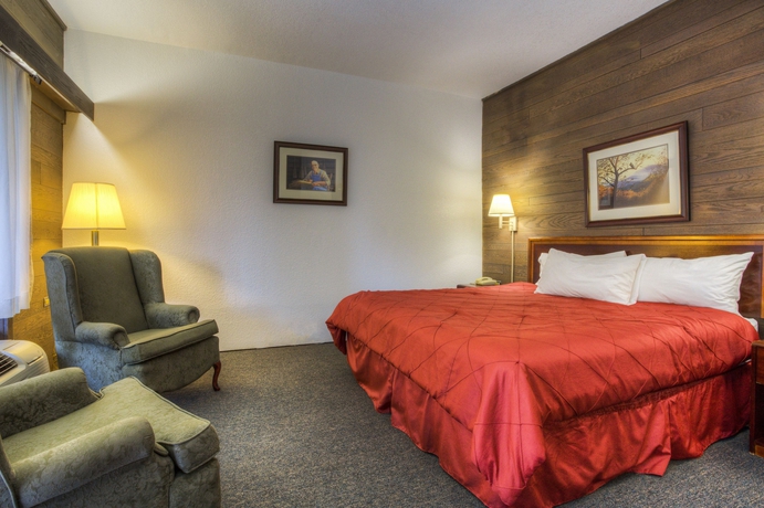 Imagen de la habitación del Hotel Chalet Inn, Gatlinburg. Foto 10