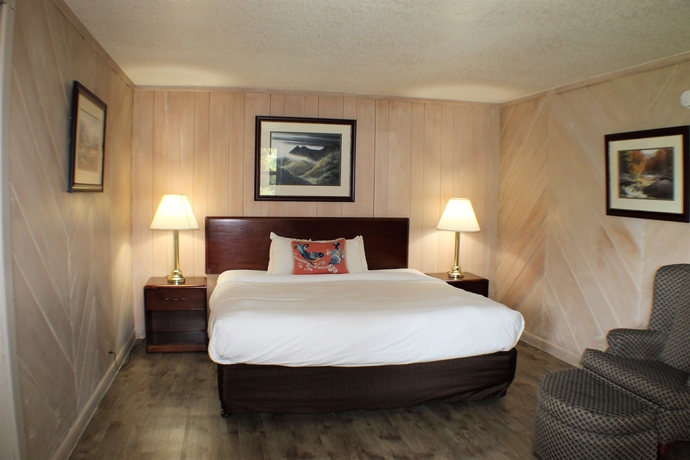 Imagen de la habitación del Hotel Chalet Inn, Gatlinburg. Foto 11