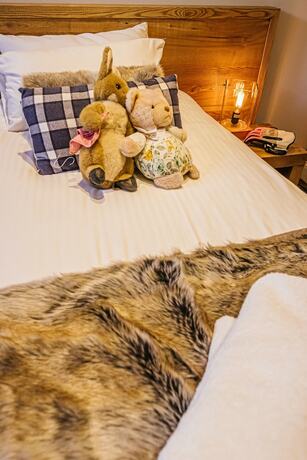 Imagen general del Hotel Chalet La Perle d\'Oisans. Foto 4