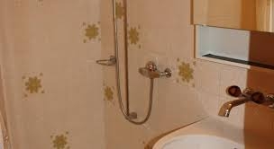 Imagen de los interiores del Hotel Chalet Protea. Foto 7