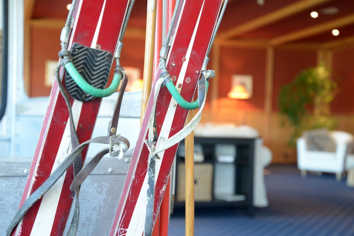 Imagen de los interiores del Hotel Chalet Royal. Foto 18