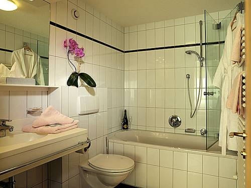 Imagen general del Hotel Chalet Schneekristall. Foto 15