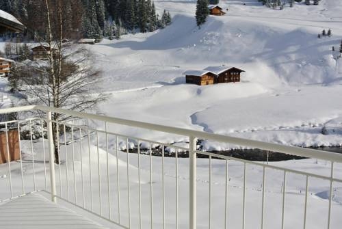 Imagen general del Hotel Chalet Schneekristall. Foto 40