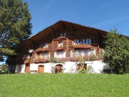 Imagen general del Hotel Chalet Spycher. Foto 5