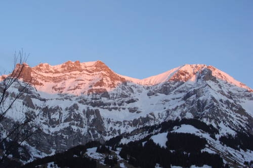 Imagen general del Hotel Chalet Sunnegg. Foto 3