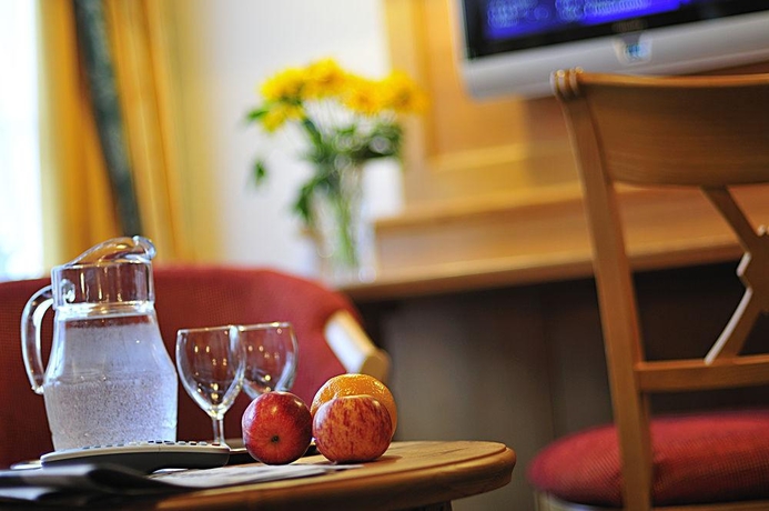 Imagen general del Hotel Chalet Swiss. Foto 13