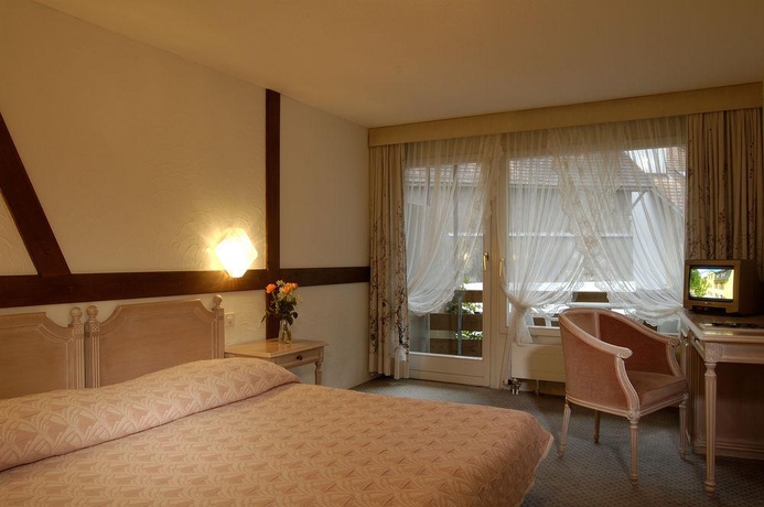 Imagen general del Hotel Chalet Swiss. Foto 15