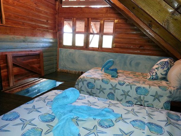 Imagen de la habitación del Hotel Chalet Tropical Bio. Foto 6