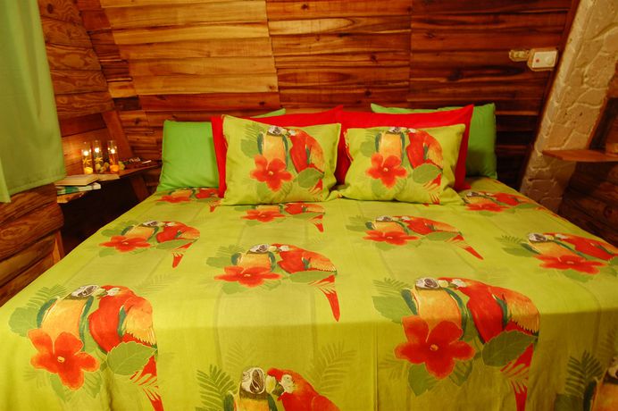 Imagen de la habitación del Hotel Chalet Tropical Bio. Foto 12