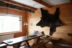 Imagen general del Hotel Chalet Turgoyak Guest House. Foto 3