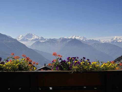 Imagen de la habitación del Hotel Chalet-hotel Bettmerhof. Foto 15