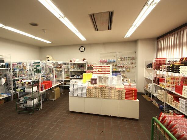 Imagen general del Hotel Chalet-ryuo. Foto 4