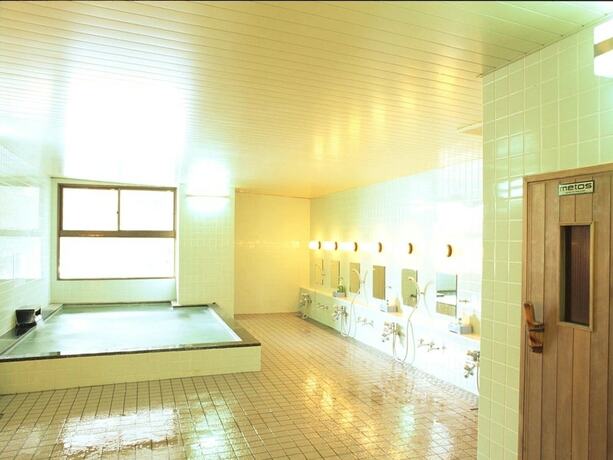 Imagen general del Hotel Chalet-ryuo. Foto 6