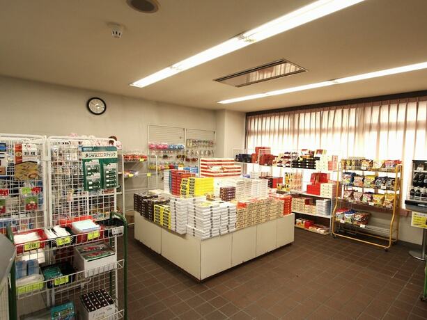 Imagen general del Hotel Chalet-ryuo. Foto 10