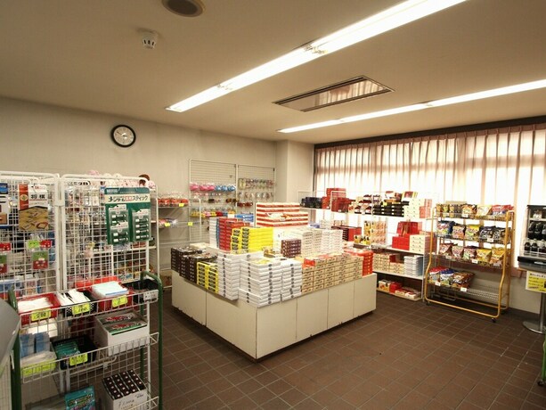 Imagen de los interiores del Hotel Chalet-ryuo. Foto 32