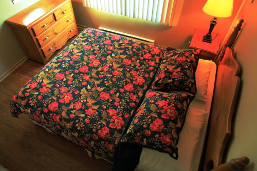 Imagen de la habitación del Hotel Chalets Montmorency Mont-sainte-anne. Foto 5