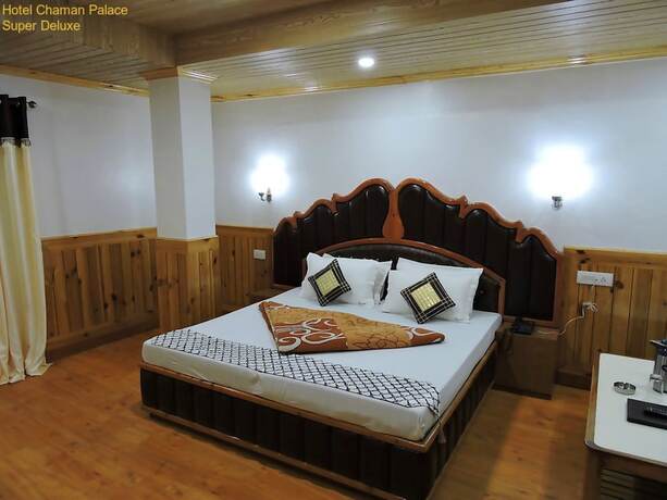Imagen de la habitación del Hotel Chaman Palace. Foto 16